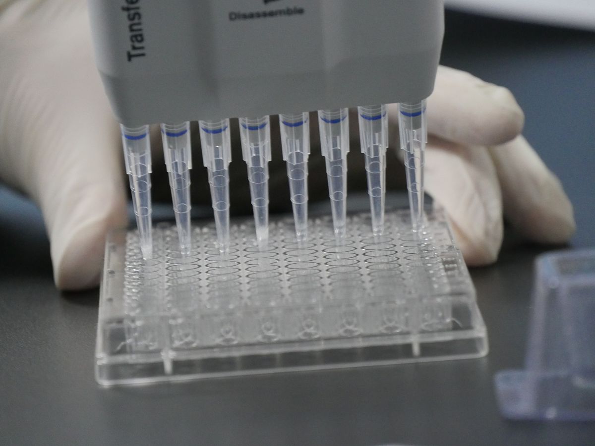 Omega 小鼠粪便 DNA 小量提取试剂盒