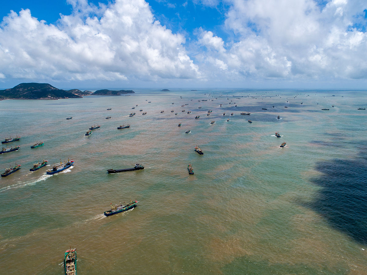 2020年8月1日,浙江台州,温岭钓浜渔港内的数百艘渔船开足马力驶向东海