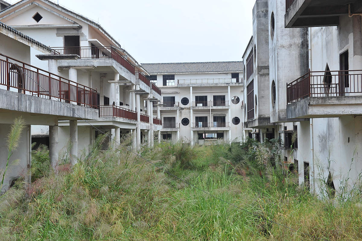灵溪镇新港村办公大楼什么时候建的帮我用200字详细描述