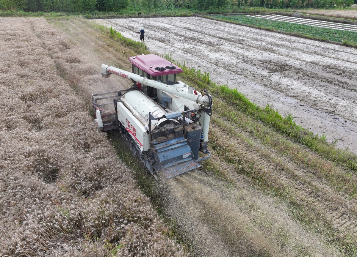 水稻育苗移栽机械 - 提高种植效率的利器