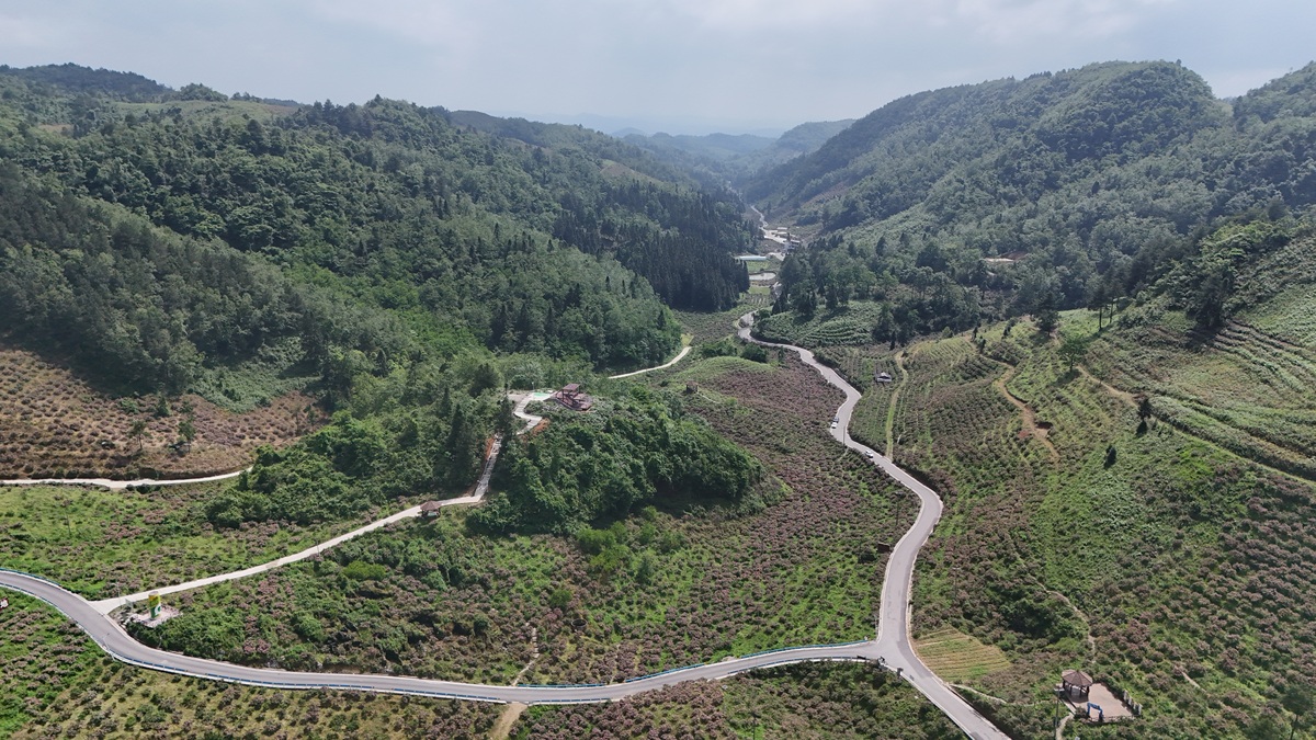 贵州土台至阿达湖石头寨乡公路建设现状及原因分析