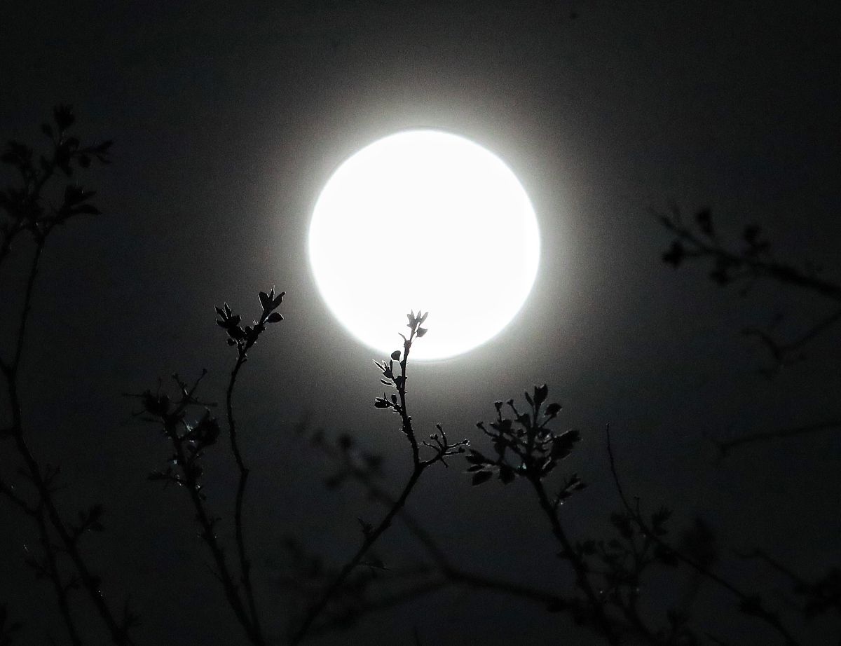 春江花月夜：生命的短暂与意义