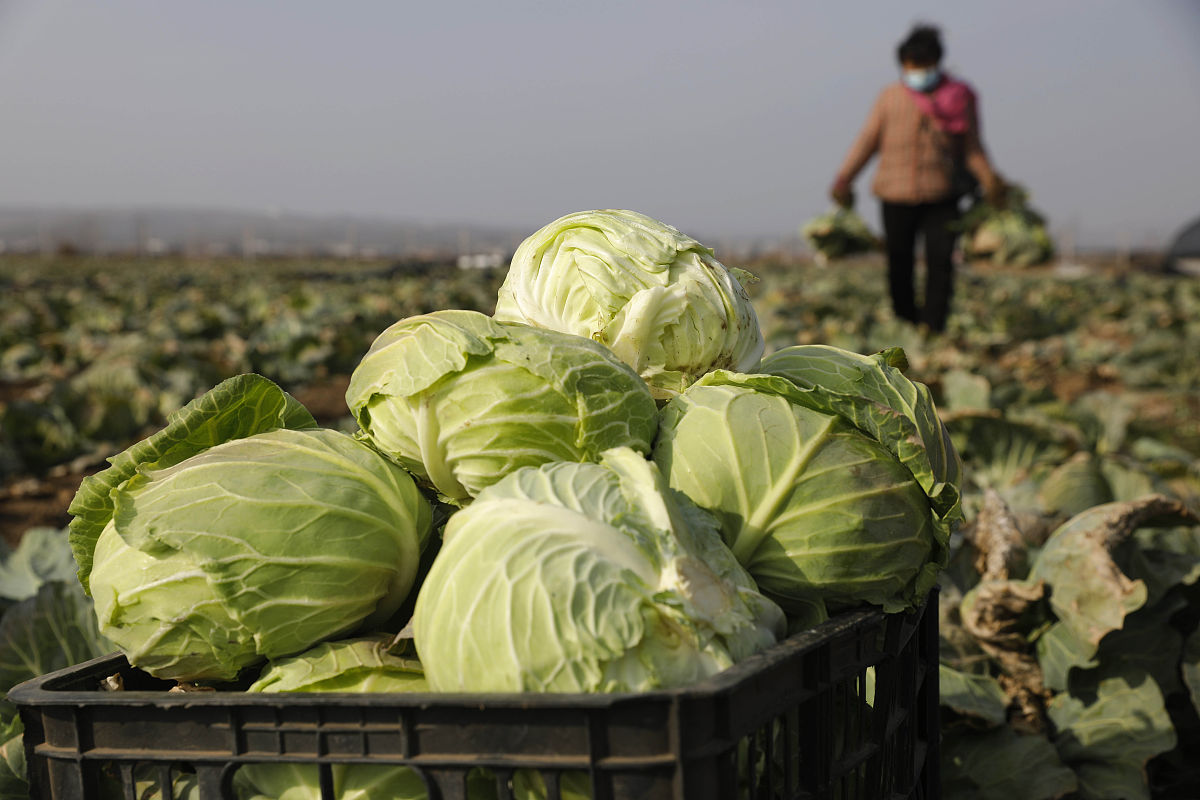 平顶山幼儿师范学校2022年招生简章 - 培养未来幼儿教育人才