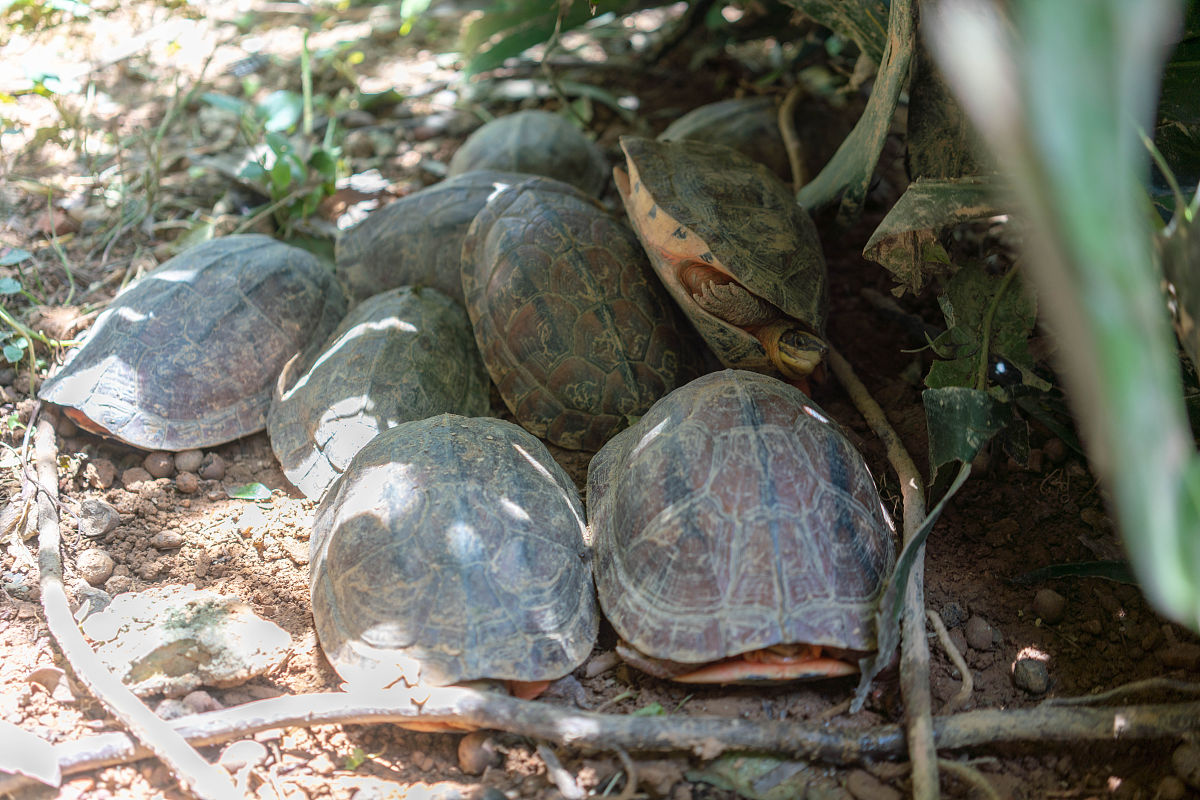 江西应用技术职业学院宝玉石鉴定与加工专业如何好学吗