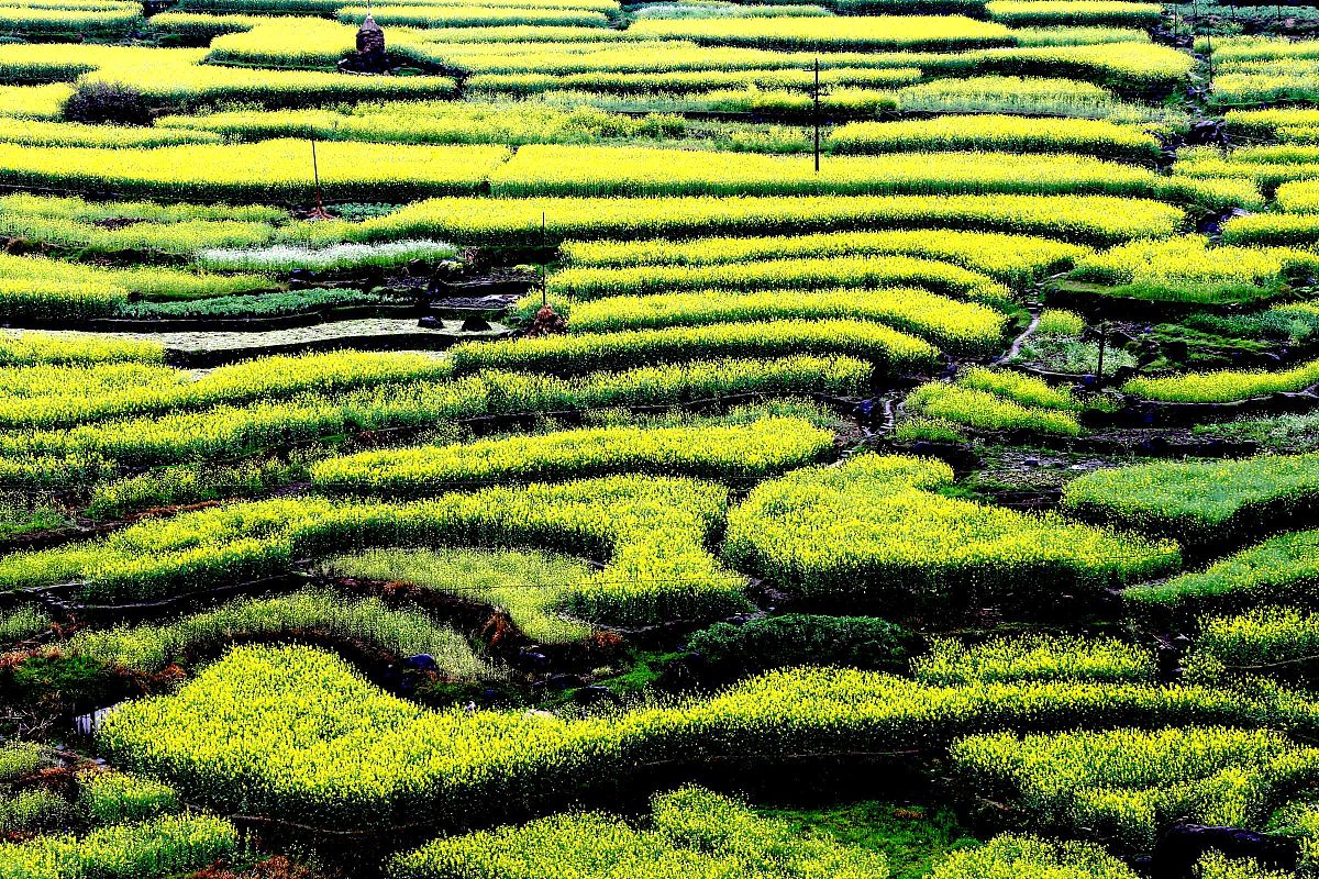 徽州师范学校2022年招生简章