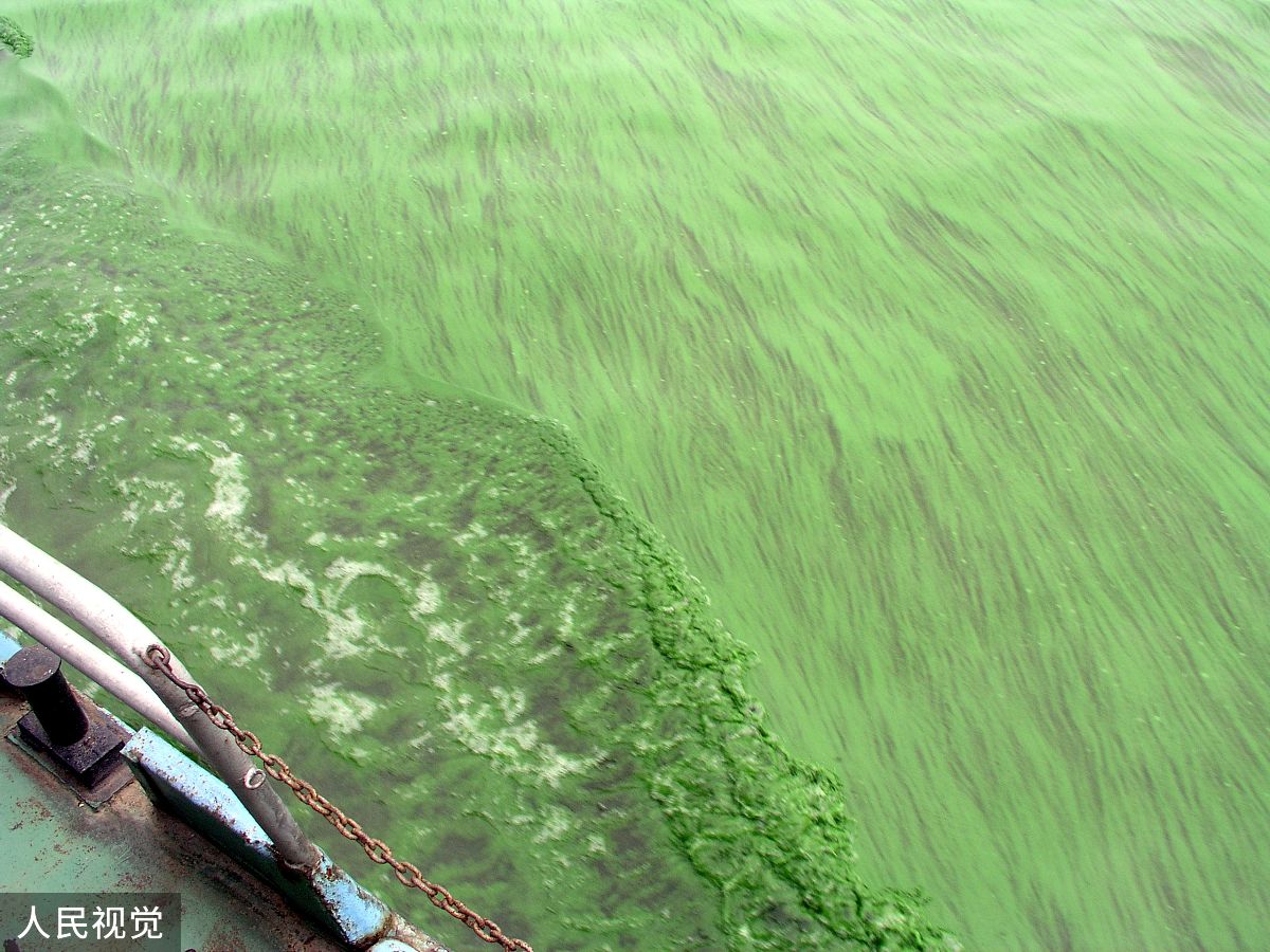 近年来随着医药抗生素滥用、畜牧业和水产养殖业快速扩张我国一跃成为抗生素使用大国过量使用抗生素导致的残留抗生素最终通过河流大量汇集在河口近岸区域。残留导致整个人类及大环境出现很多耐药菌严重威胁人体健康。因此非常有必要研究抗生素在河口近岸区域的迁移转化行为。