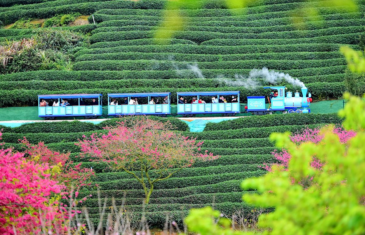 龙岩艺术设计学校2022年招生简章