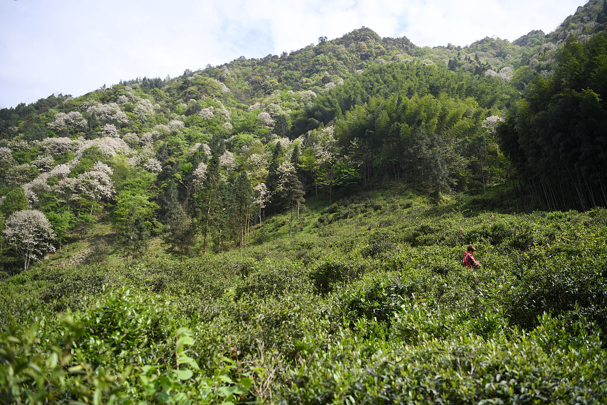 上饶卫生学校2021年招生专业及就业前景解读