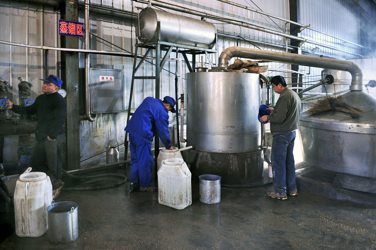 乙醇发酵工厂实习感悟：从理论到实践的收获