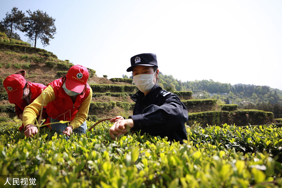 风雨彩虹五周年：逐梦新征程，建功新时代