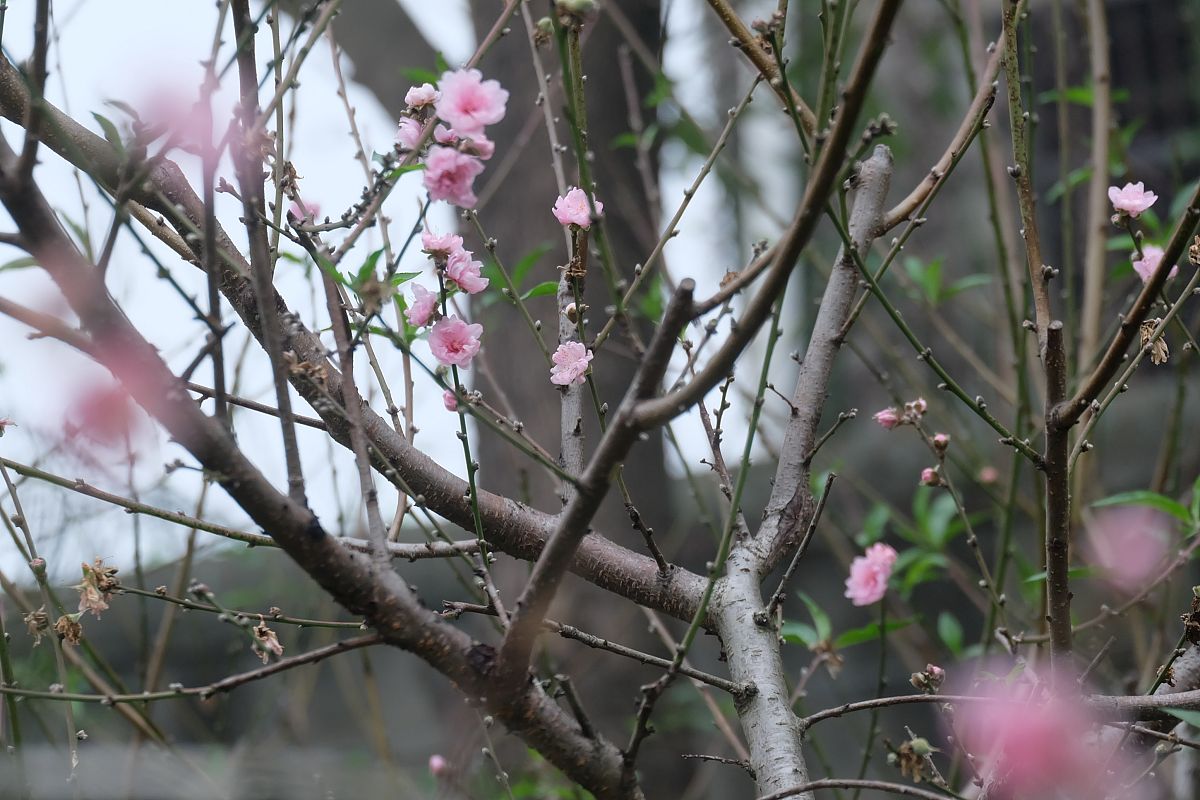 湖南环境生物职业技术学院2022年招生简章 - 环境生物技术专业