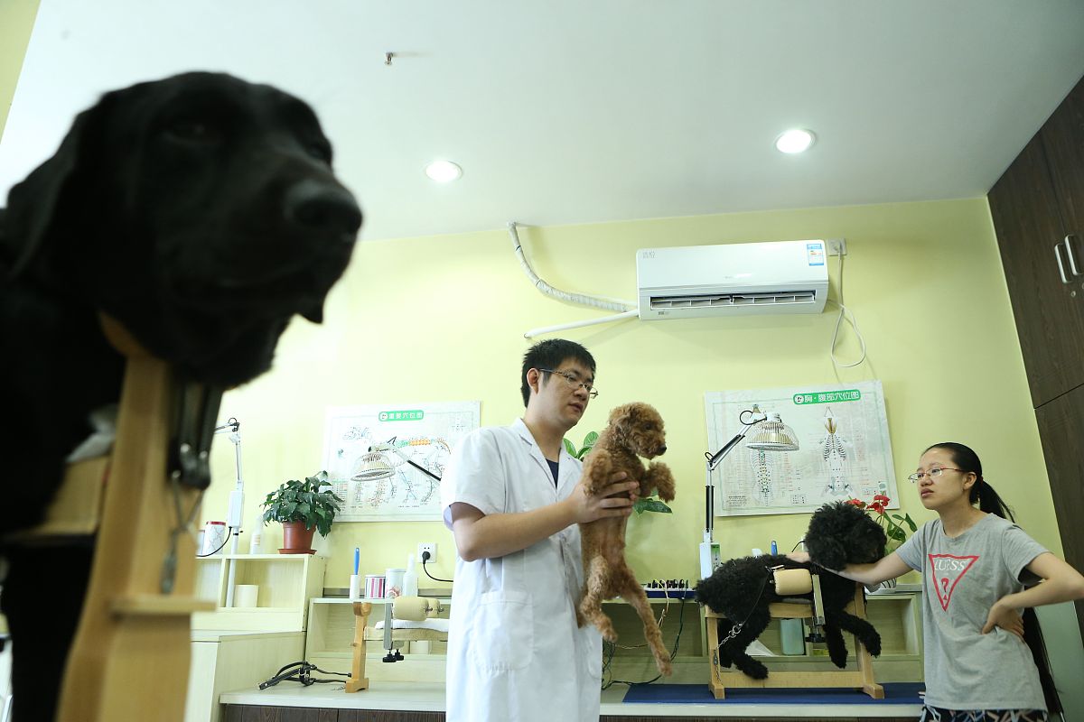 1你现在是一个专业的神经内科医生你作为一个神经内科专家你对小脑扁桃体下疝有什么治疗方案还有其他有把握的方案吗