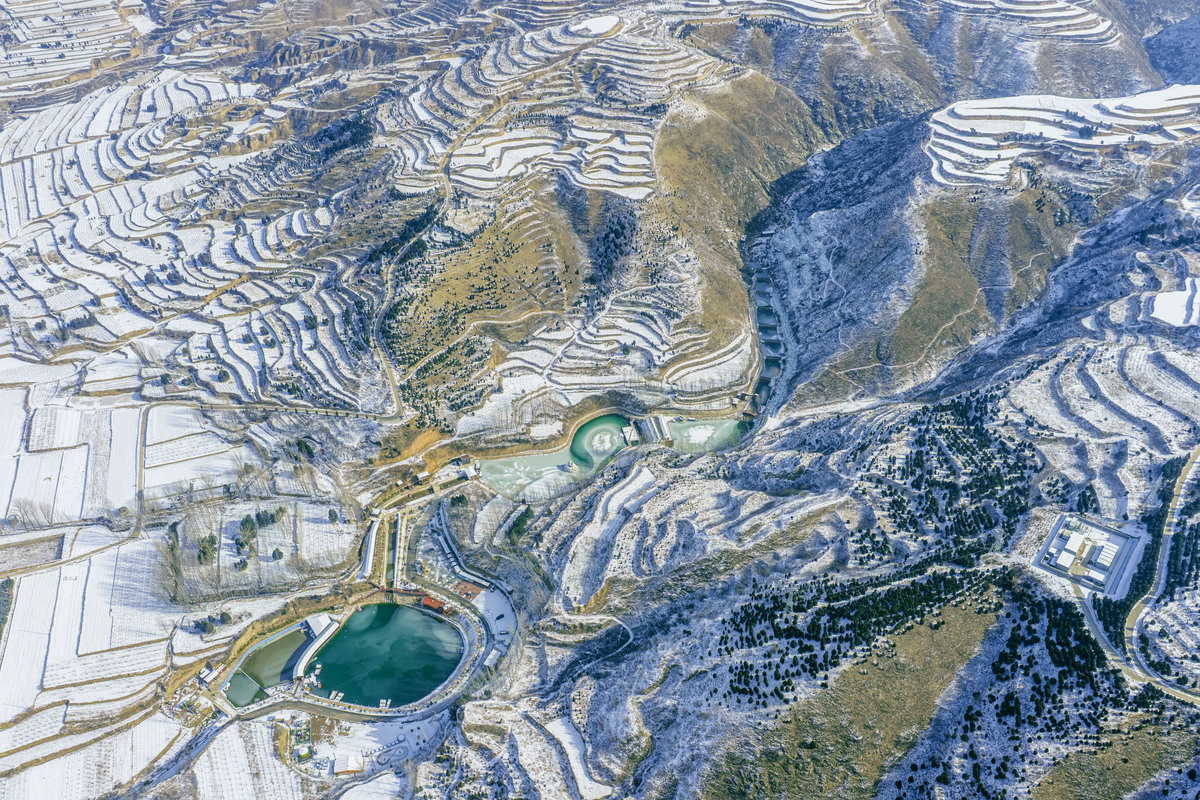 2026年1月21日雪后初霁,山西省运城市夏县南大里乡果.
