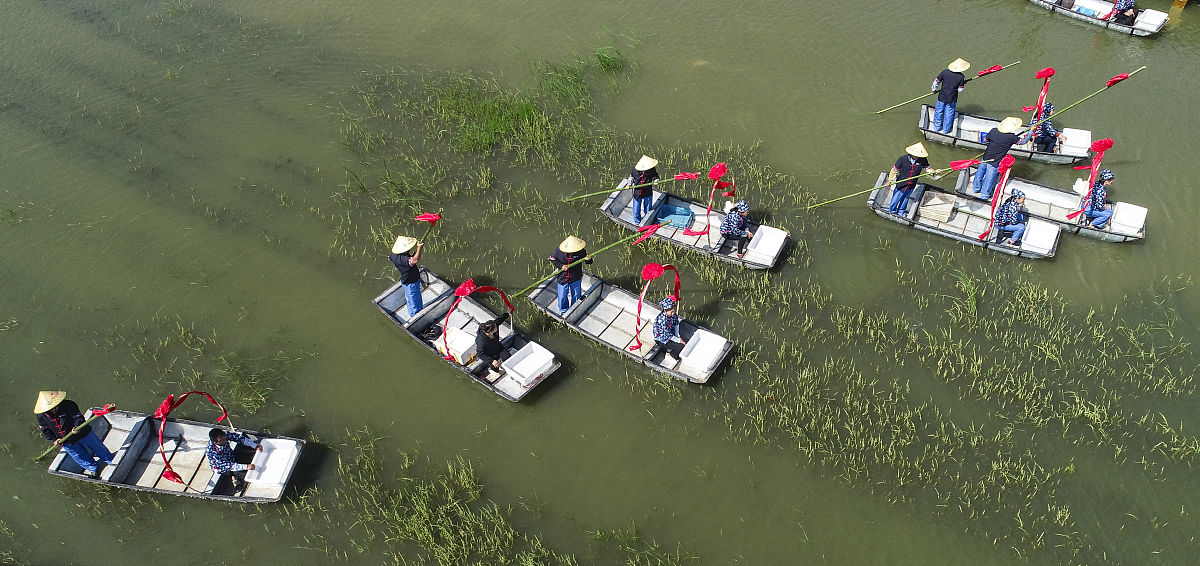 养猪手游火爆上线：全新版本更新内容抢先看！