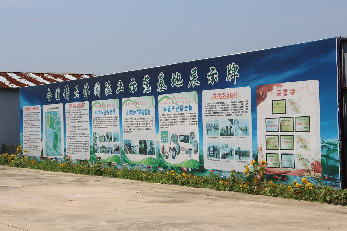 乡村生态文明教育：家庭如何更有效地参与？