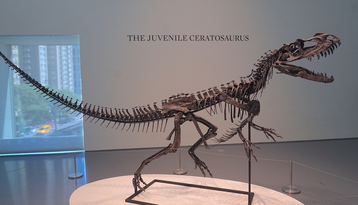 特雷弗亨德森巨物：地球上最大的恐龙之一