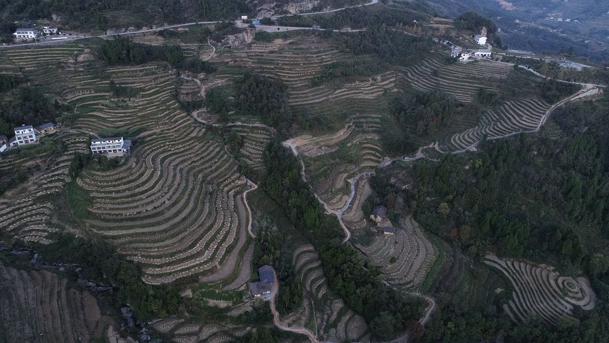 七言律诗：凤堰梯田云海间，气节豁达任逍遥