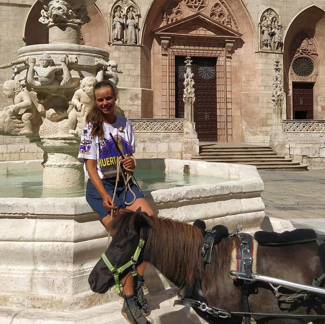 论文中期检查表优化：问题与解决方案