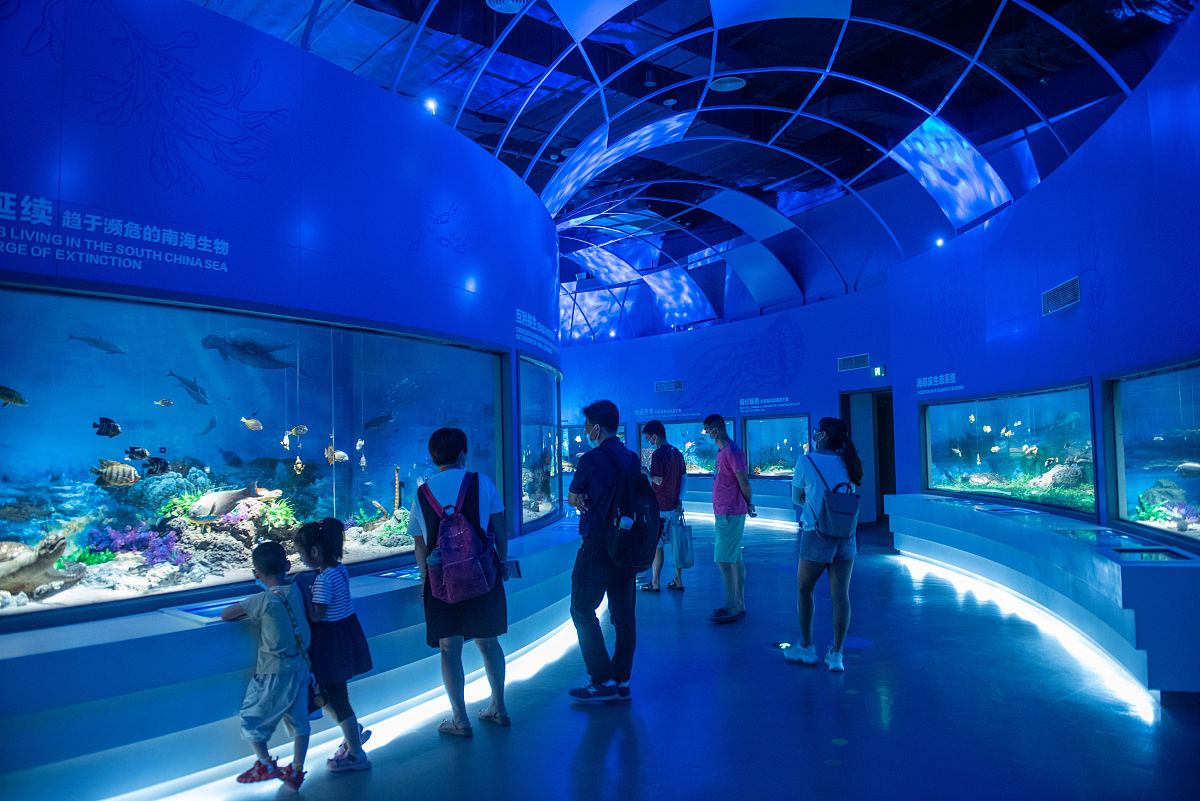 上海长风海洋公园和上海水族馆哪个有海星