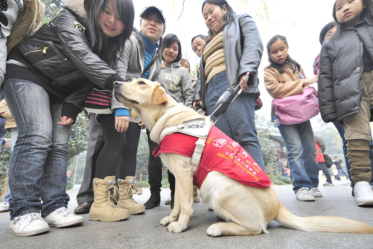 杭州2022年初中毕业可以上中专学校吗怎么样