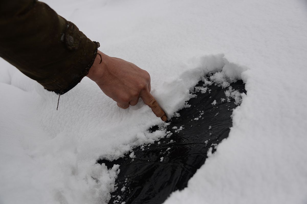 保定育德中专学校2021年招生简章：培养高素质技术人才的理想选择