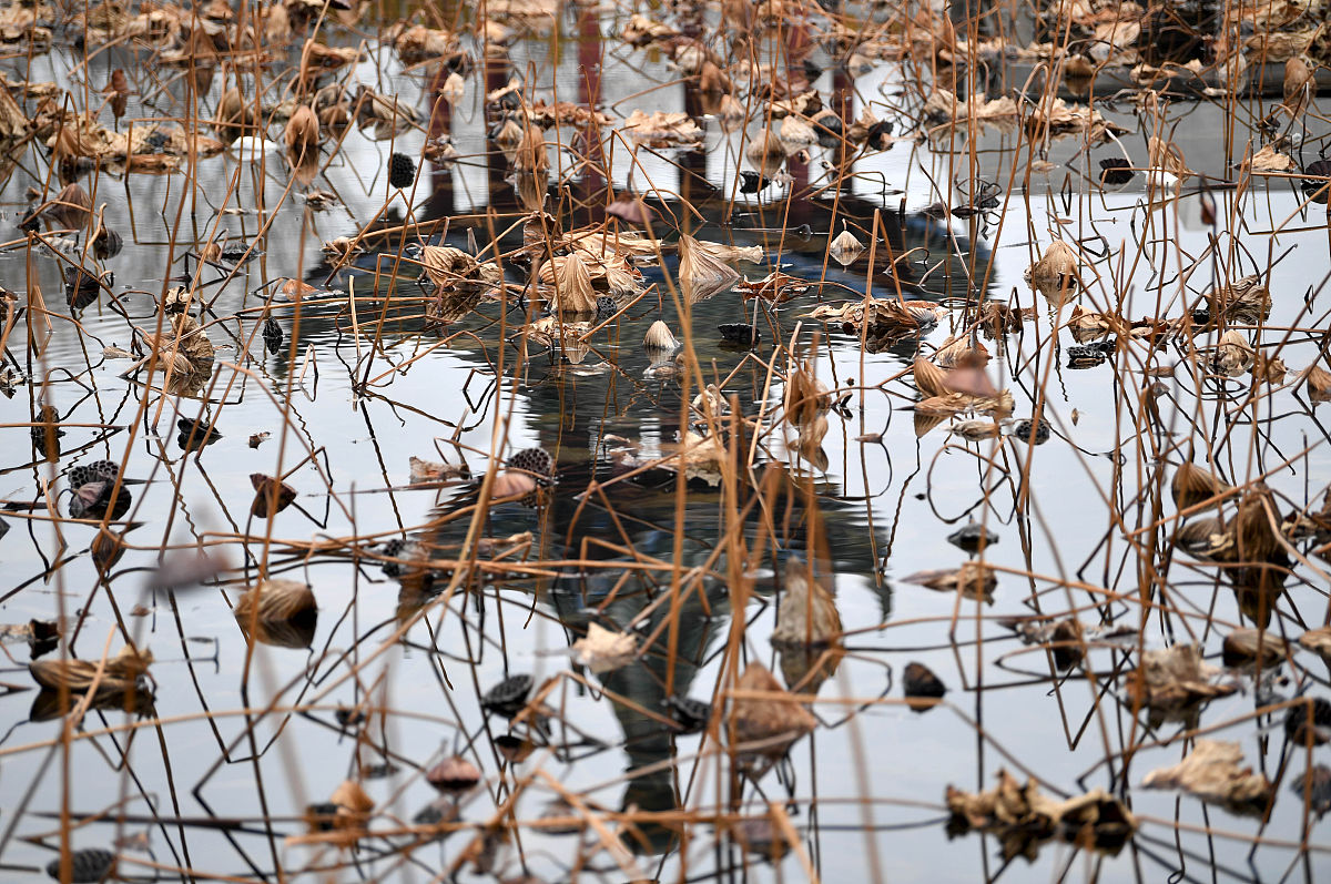 四川航海专业学校推荐：四川交通职业技术学院