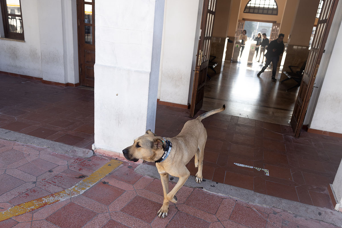 贵阳护士学校的乘车路线