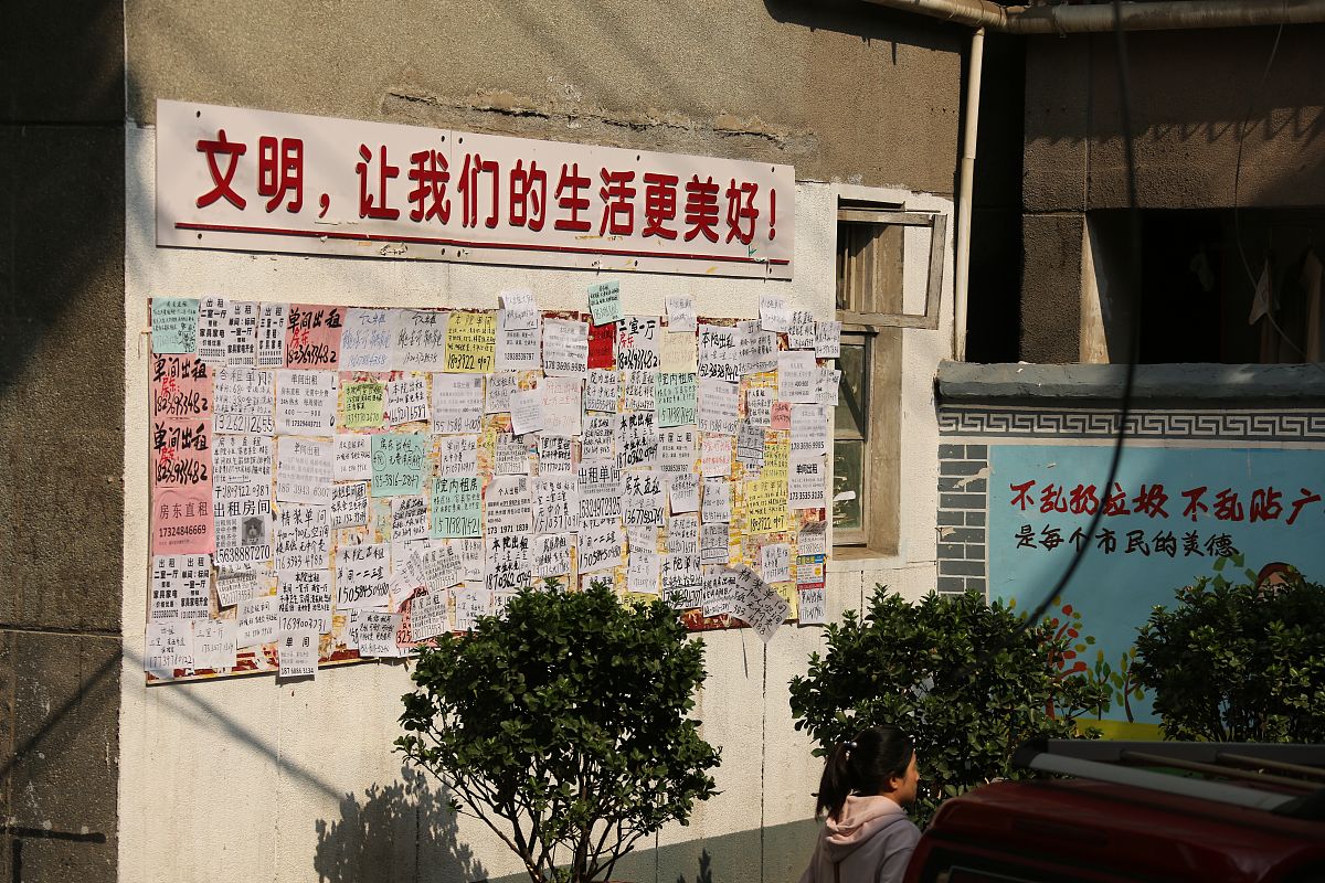 携手共治，社区环境更美好