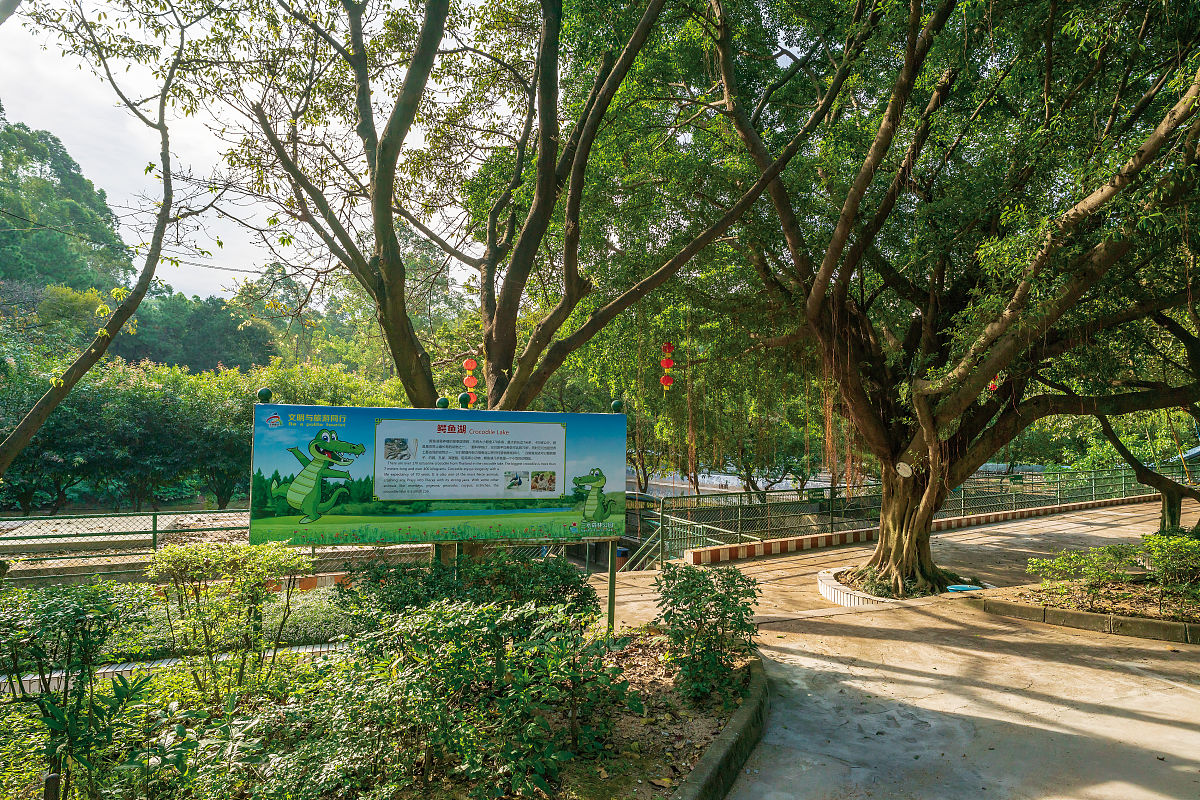 改善景区环境，提升旅游体验：打造魅力景点的实用指南