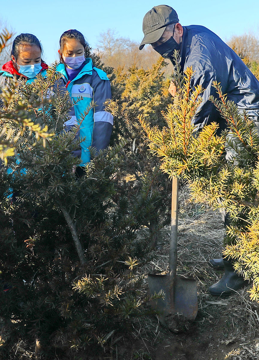 请你做一名大学生以劳动教育为主题写一篇1000字左右的论文要求有文采