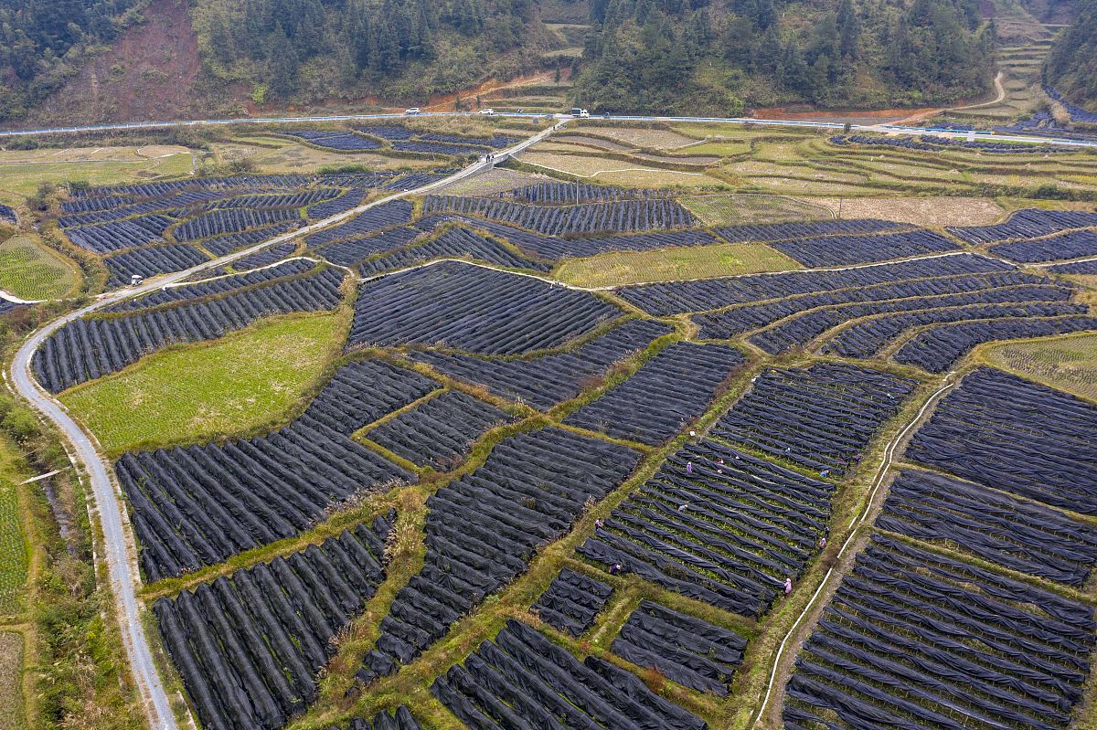 帮我翻译成日语、简短的并且口语化人好多哇hh这些都是木叶村的村民吗