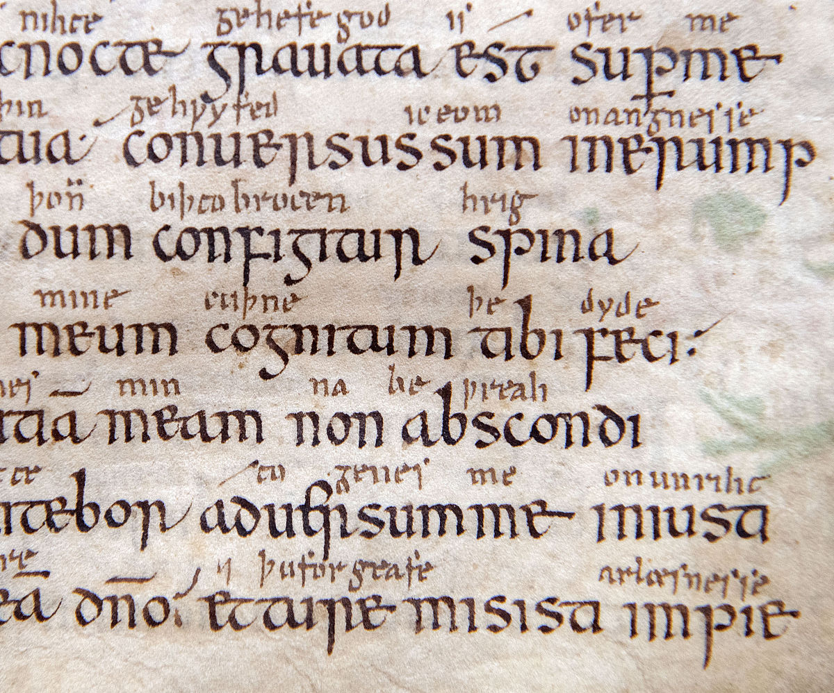 为什么说“我们不是因为老了才停止玩耍”?