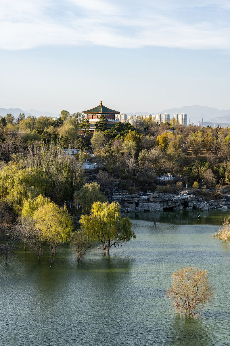 有线网络可用访问互联网我想把无线网卡设置为热点让手机通过这个热点上网我的电脑是windows11系统
