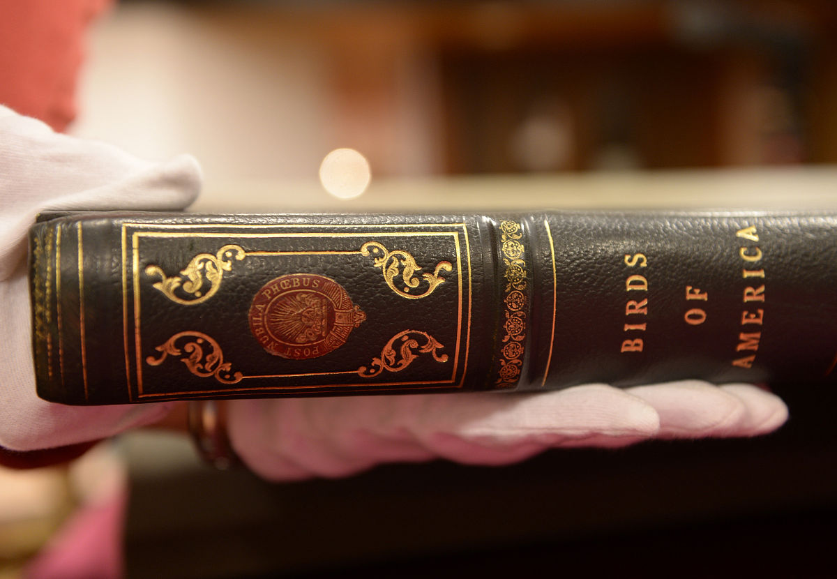 大学竞选班委，想向你请教经验！