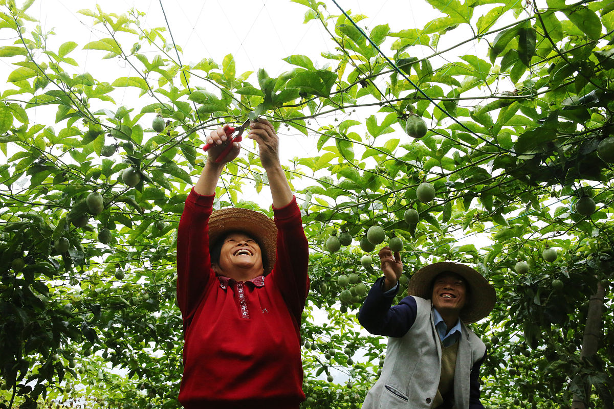 贵州航空职业技术学院幼儿教育专业好不好？就业前景怎么样？