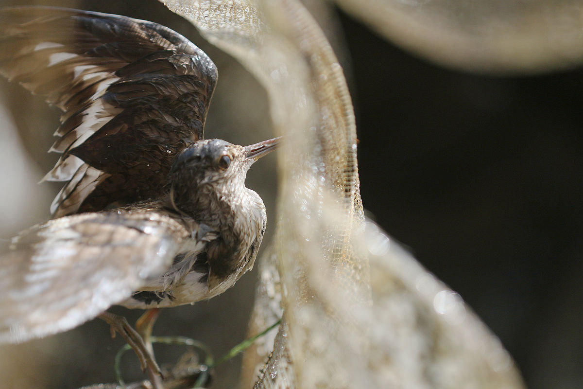 黑龙江农垦机械化学校是正规的吗
