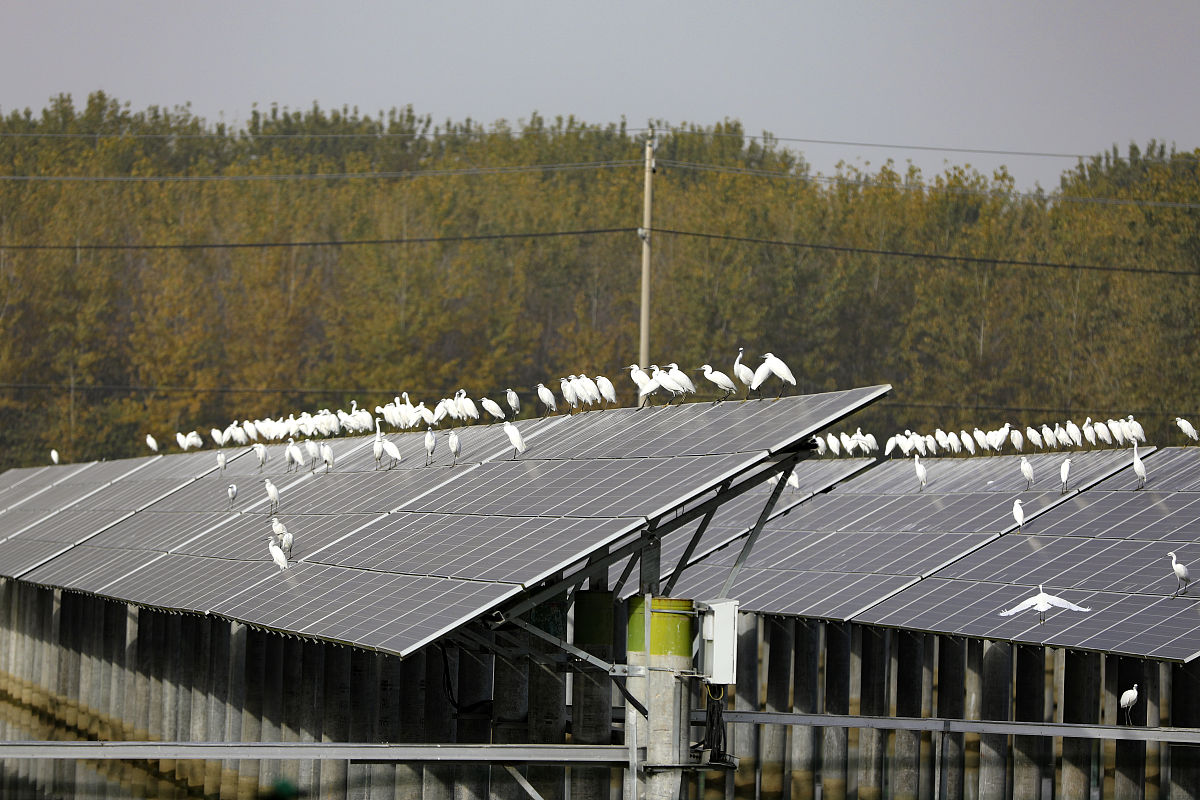 我需要设计一个30MW并网光伏电站并我确定各个元件的数目以及各项参数