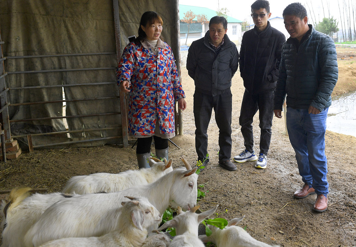 动物免疫是防控小反刍兽的关键措施。要对家畜进行定期的免疫接种，提高动物的免疫力，减少疫情的发生。同时，要注意免疫程序的规范和科学性，确保免疫效果的稳定和可靠。

这段话扩展100字