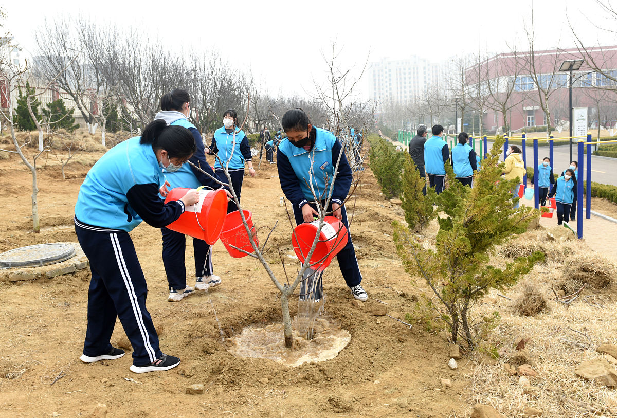 工作日浇水导致绿化带泥泞影响排球场地使用