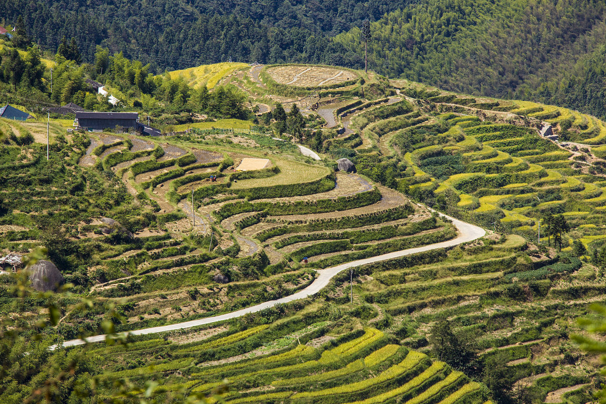怀化卫校招生条件及公办学校介绍 - 怀化公办卫校有哪些？