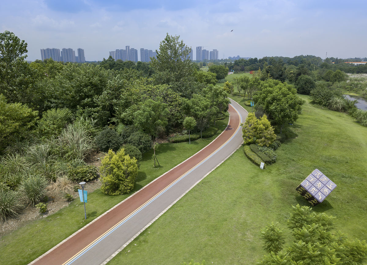 2021年8月10日,成都市崇州市羊马湿地公园.(如需下载 请署名 红星新闻