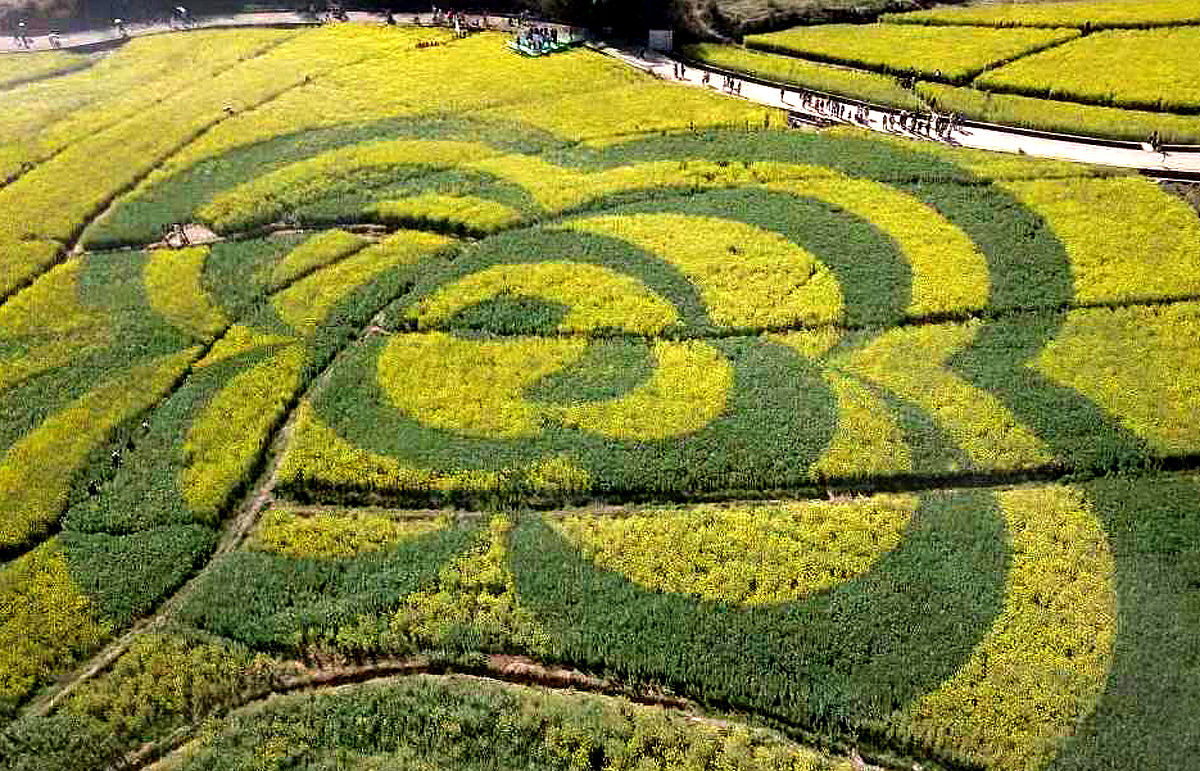2019年3月2日,云南省昆明市,"秀美山口·大地艺术"文化旅游节在安宁市