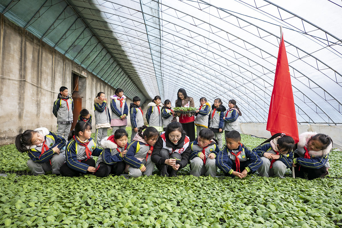 小学科学课堂分享：探索奇妙的科学世界