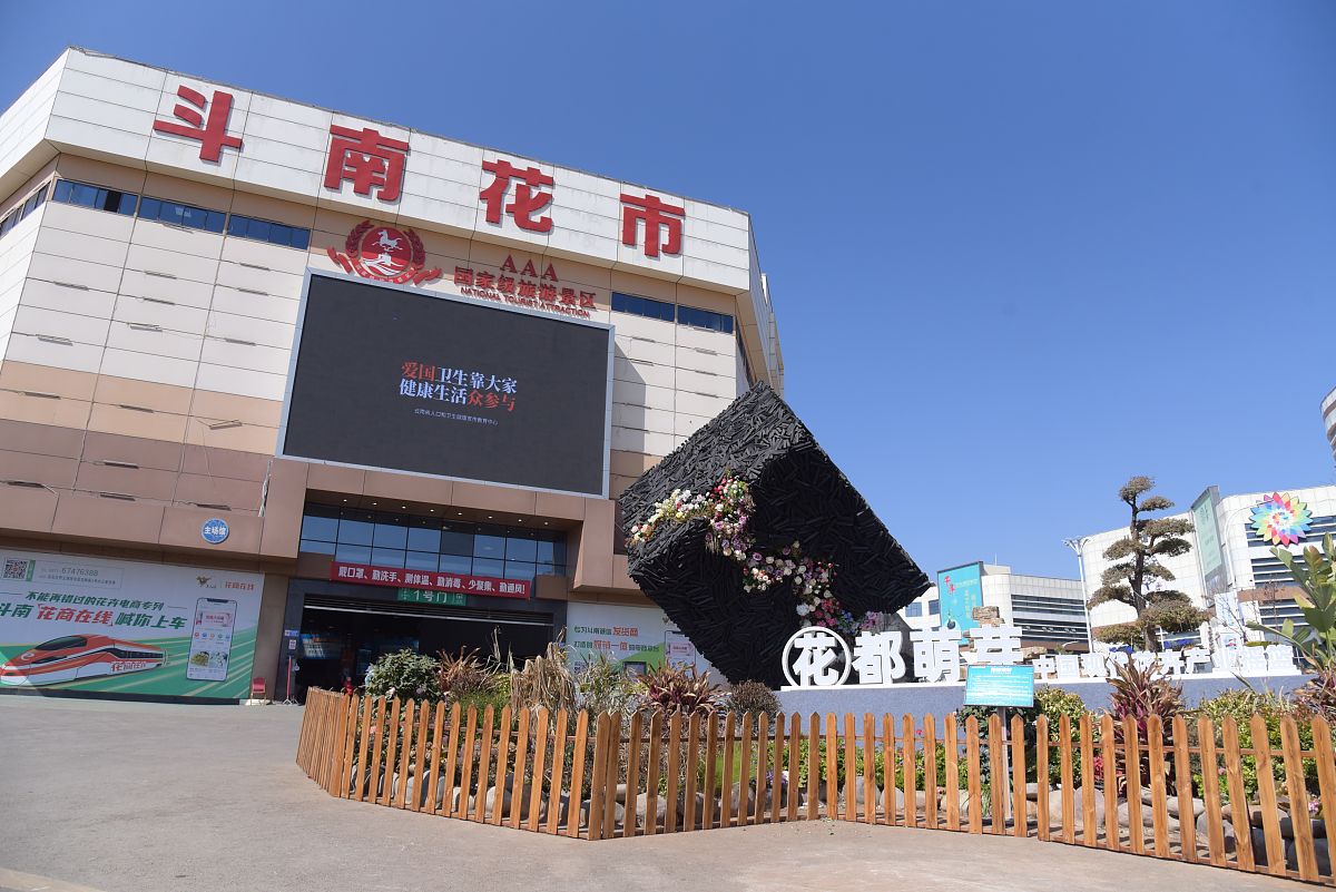 2021年1月26日,春节临近,昆明斗南花市人气火爆.斗南花市是中国乃至亚