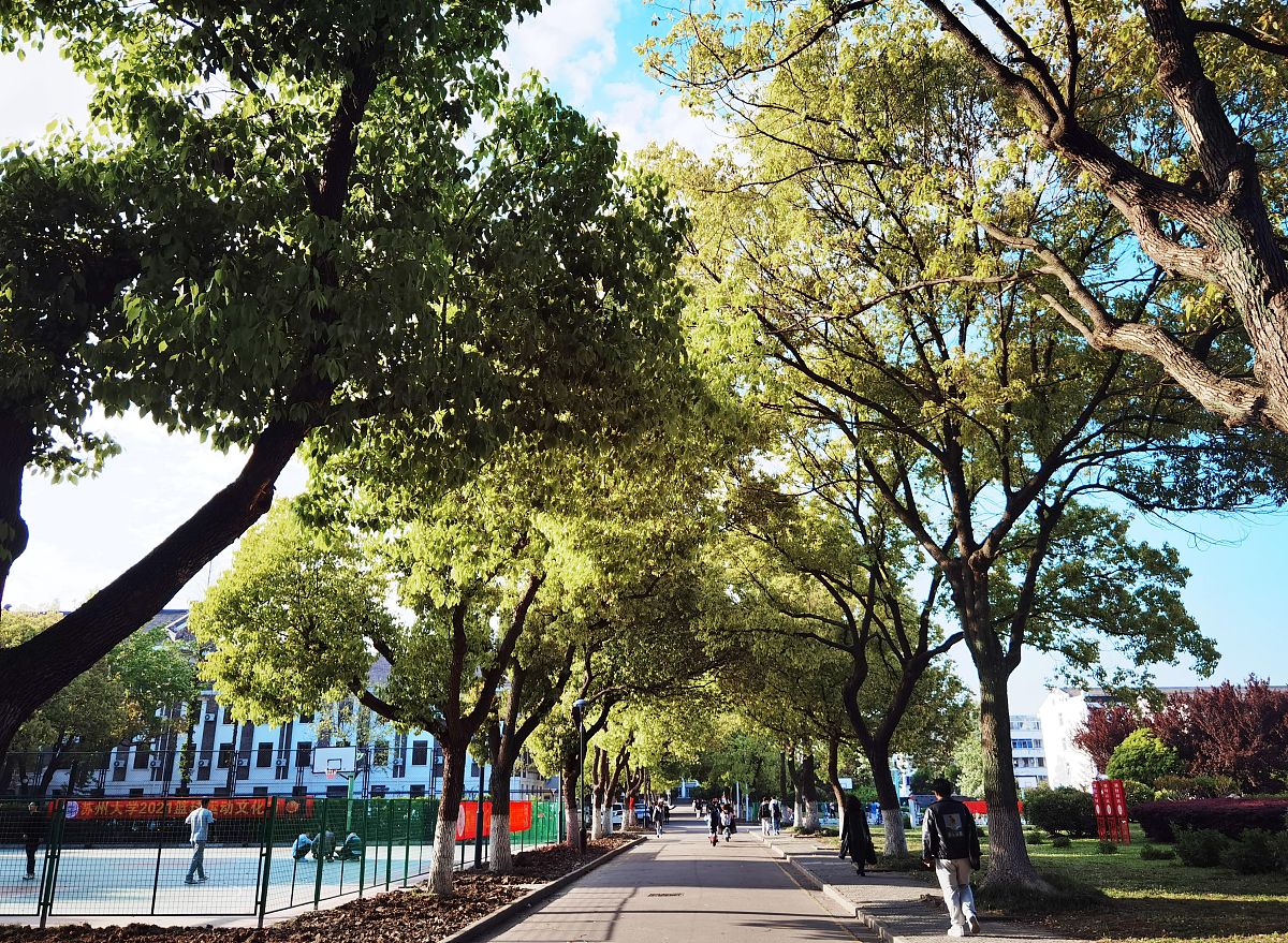 苏州大学的王牌专业有哪些 2018苏州大学专业排名