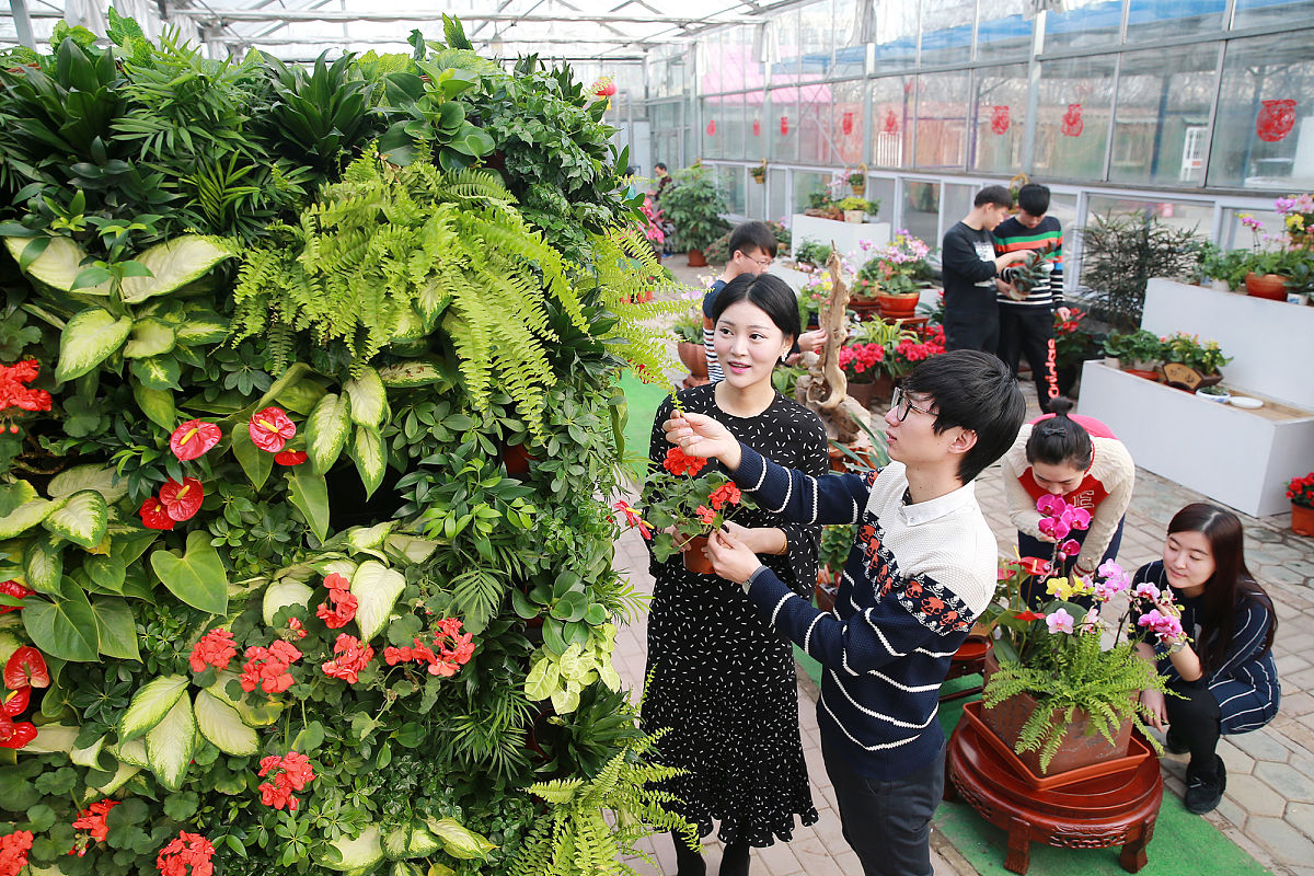 介绍楚雄农业学校果蔬花卉生产技术专业