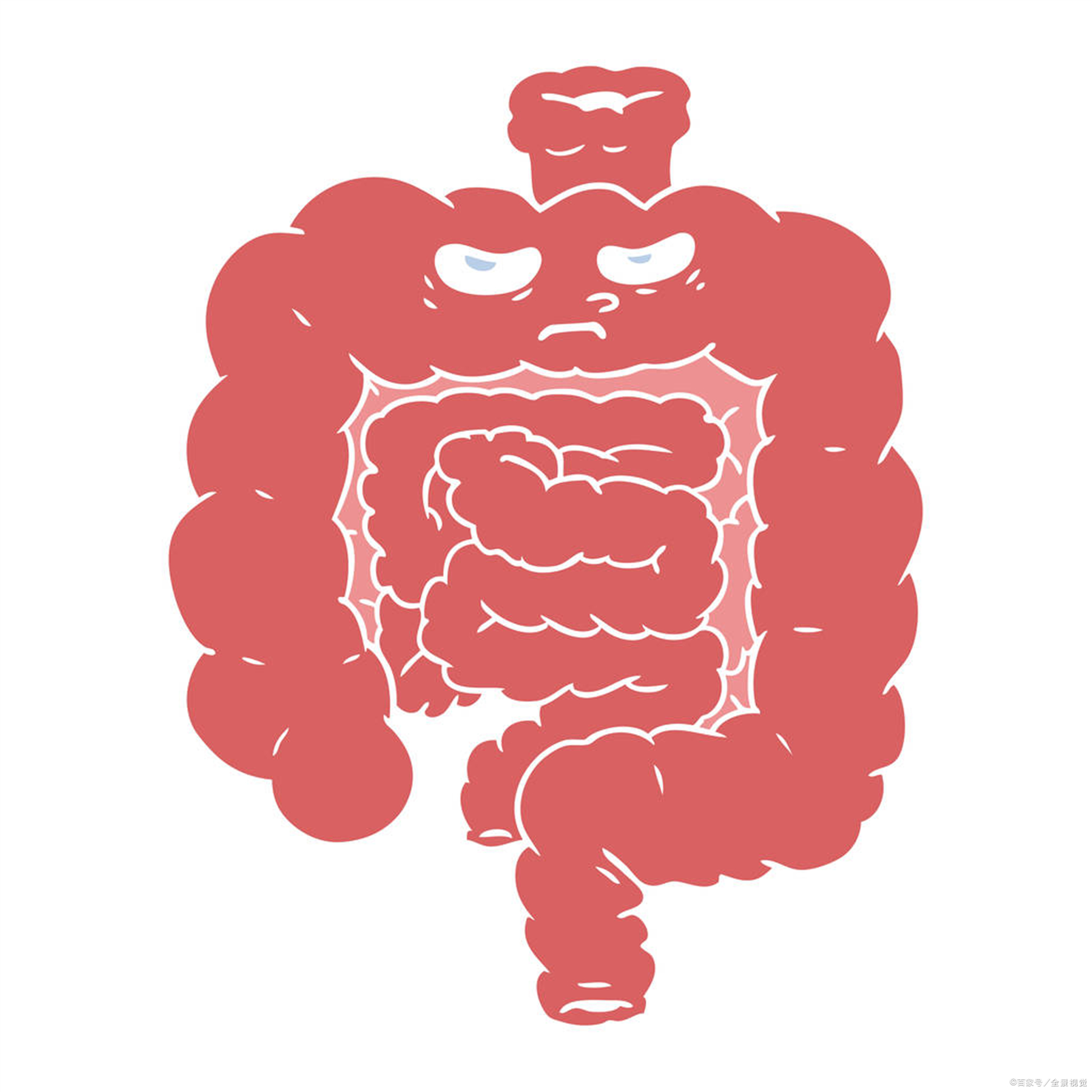 如何用科学仪器保护肠胃健康?