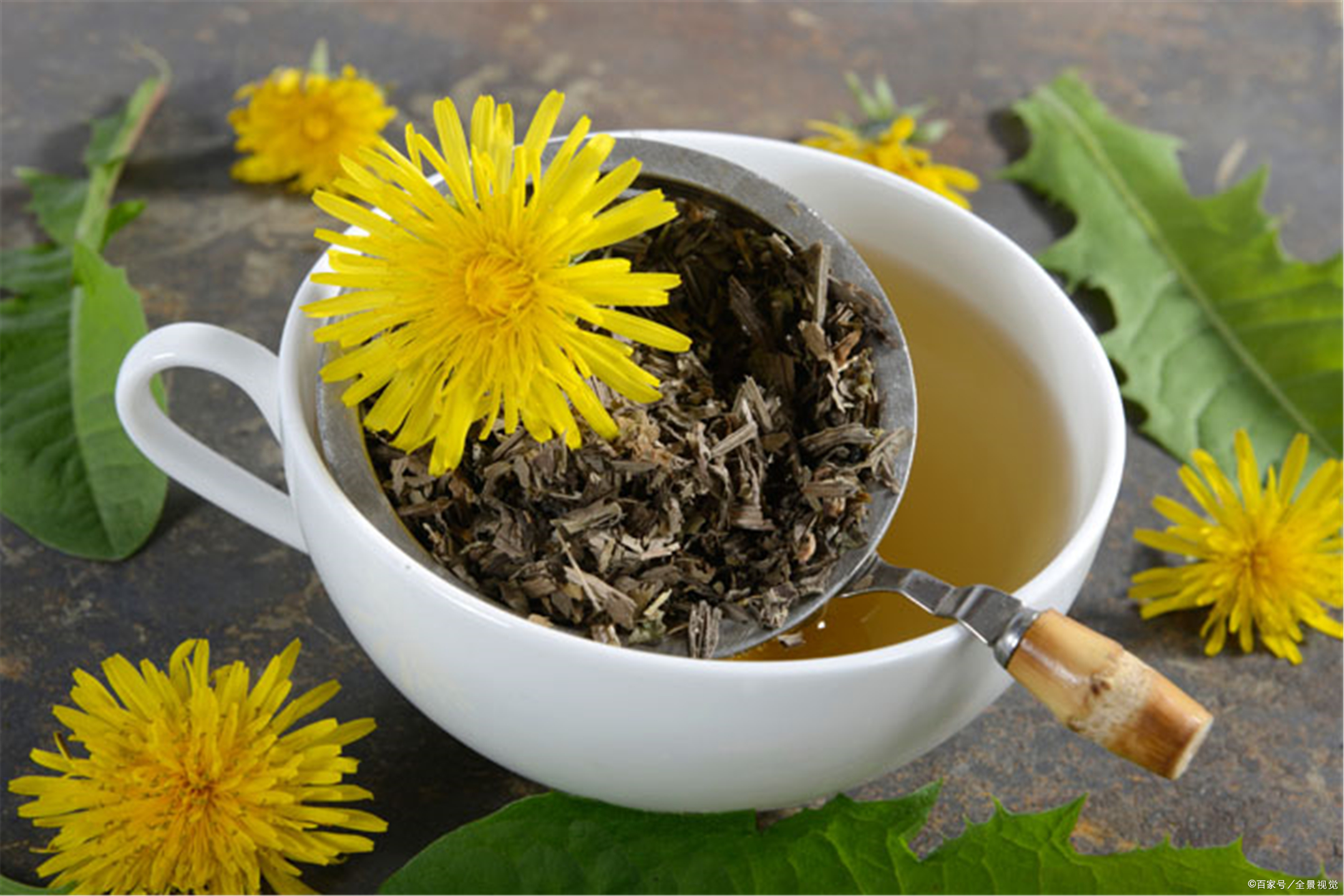 蒲公英泡水喝,除了"清热解毒",还有3种你意想不到的好处