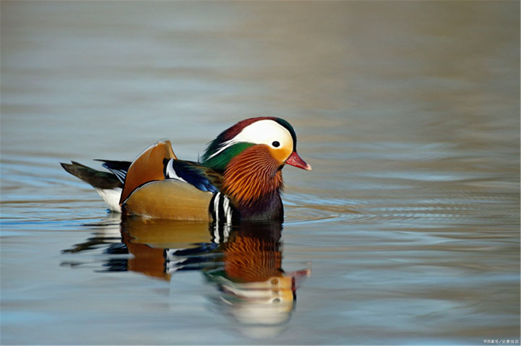 未来一周相濡以沫恋恋不舍3星座旧情重燃幸福从头来过