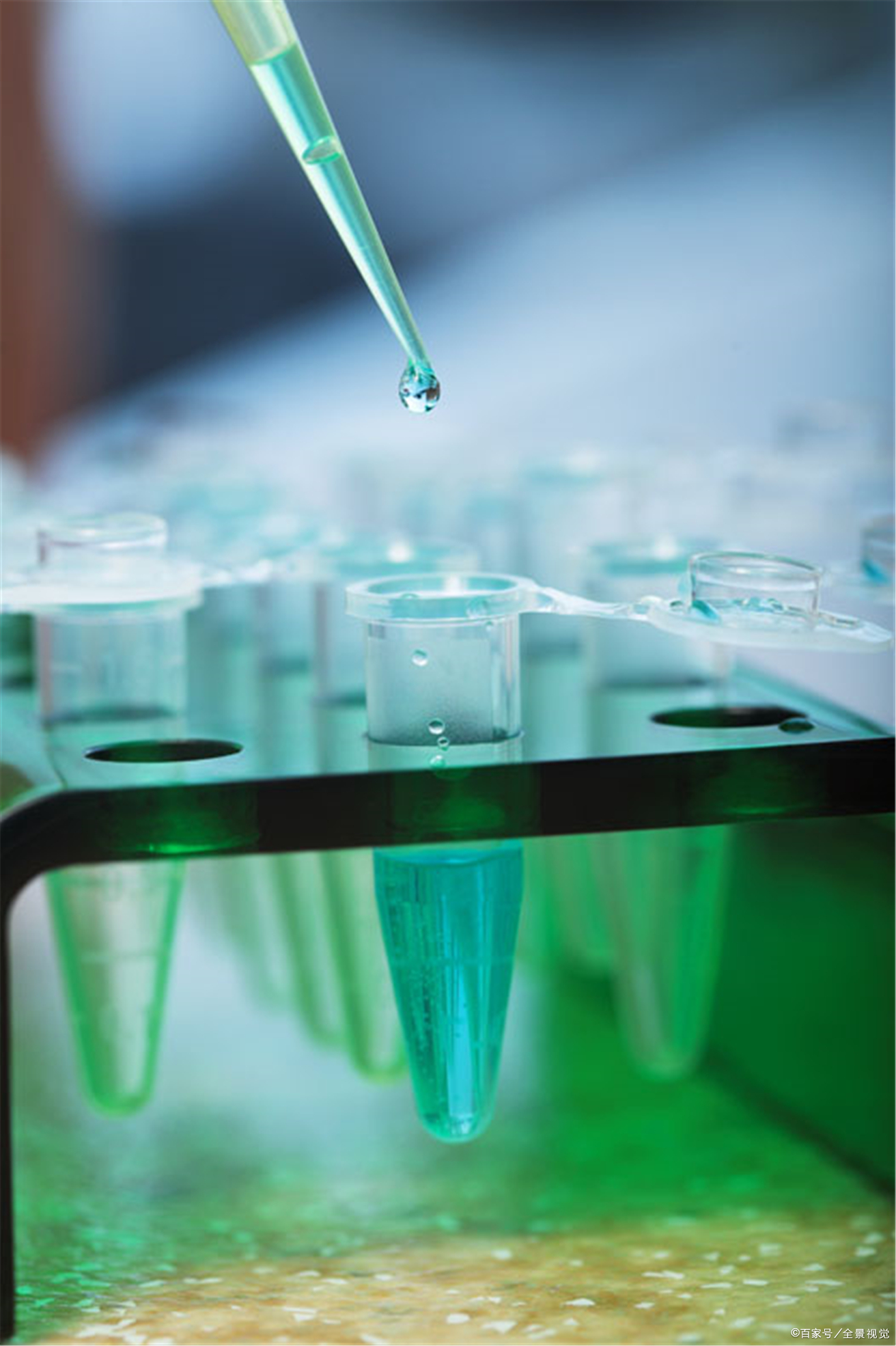 生物分子材料